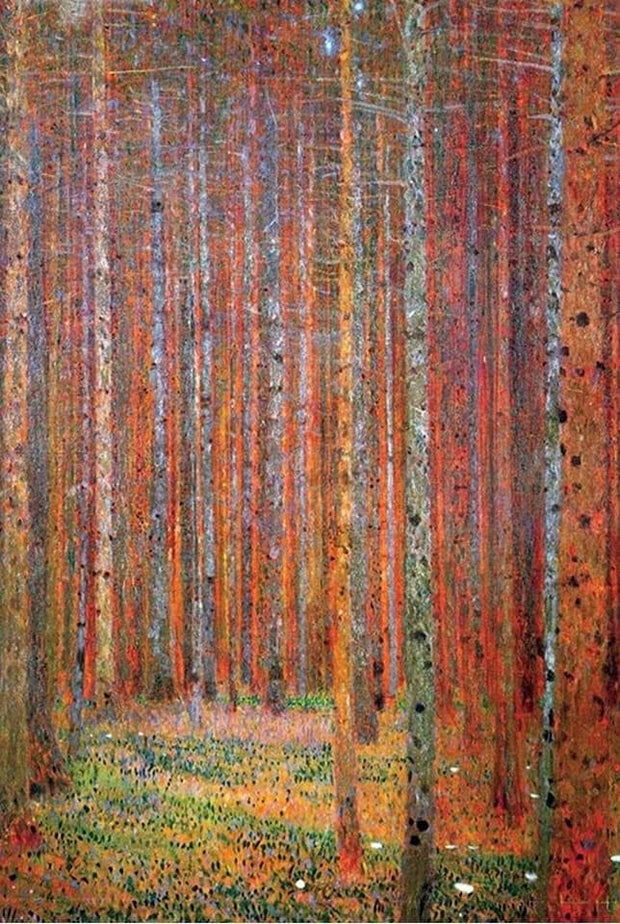 “Il bosco di Klimt”